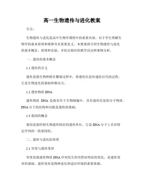 高一生物遗传与进化教案