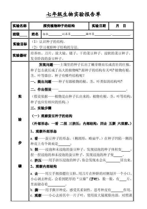 观察种子的结构实验报告