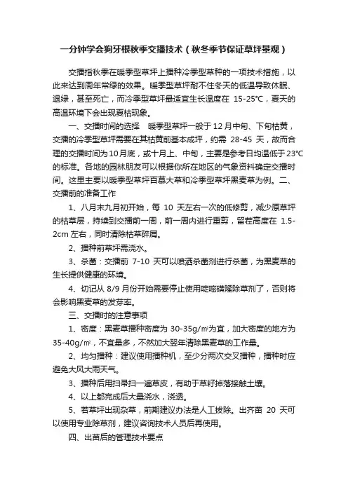 一分钟学会狗牙根秋季交播技术（秋冬季节保证草坪景观）