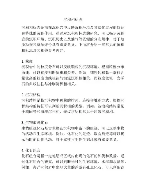 沉积相标志