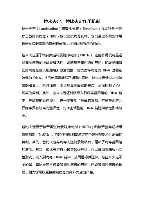 拉米夫定、替比夫定作用机制
