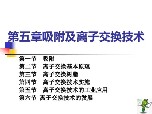 《制药单元操作技术(下)》教学课件—05吸附与离子交换