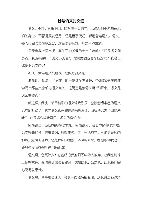 初二作文：我与语文打交道作文600字
