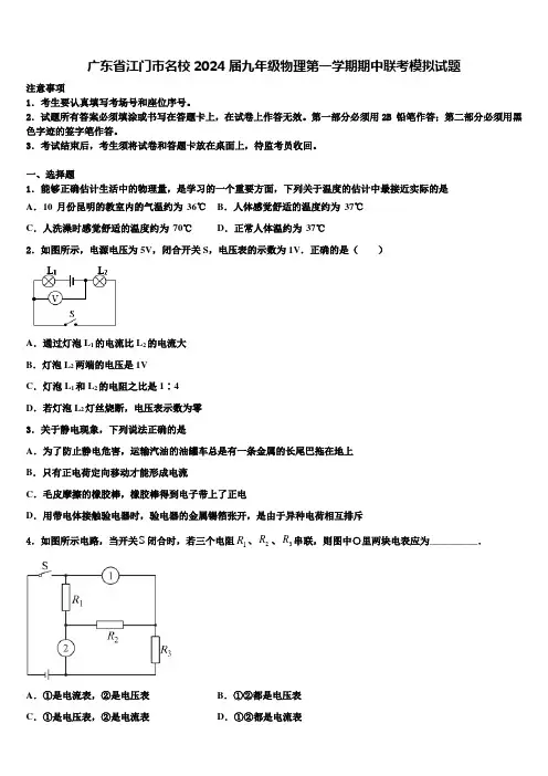 广东省江门市名校2024届九年级物理第一学期期中联考模拟试题含解析