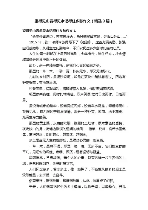 望得见山看得见水记得住乡愁作文（精选3篇）