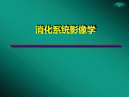 消化系统影像学PPT课件