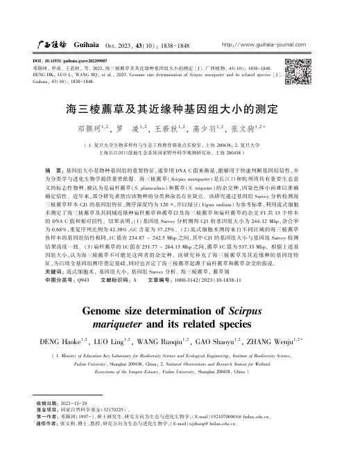 海三棱藨草及其近缘种基因组大小的测定