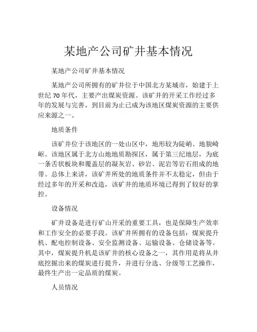某地产公司矿井基本情况