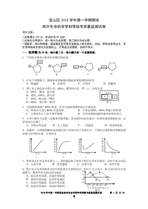2019高二宝山区生命科学一模试卷_Password_Removed