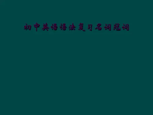 初中英语语法复习名词冠词