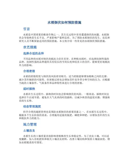 水稻倒伏如何预防措施