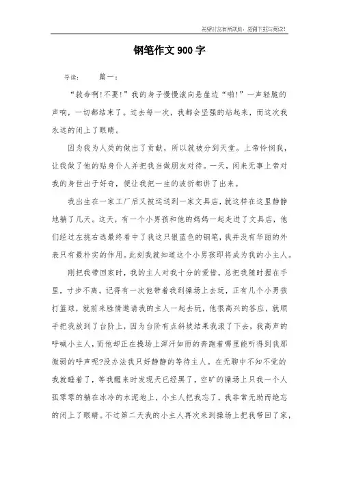 钢笔作文900字_1