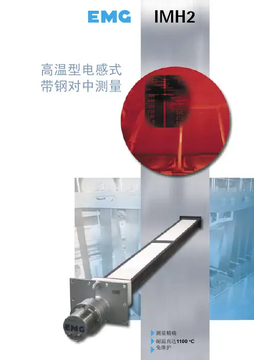 EMG 纠偏系统