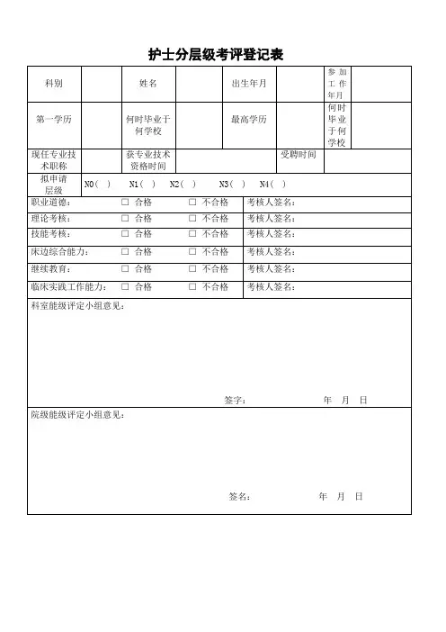护士分层级考评登记表