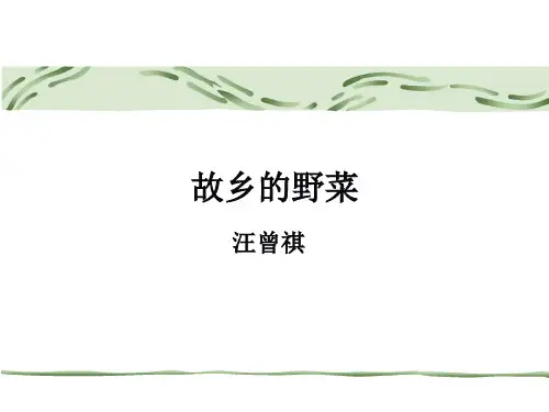 最新汪曾祺_故乡的野菜