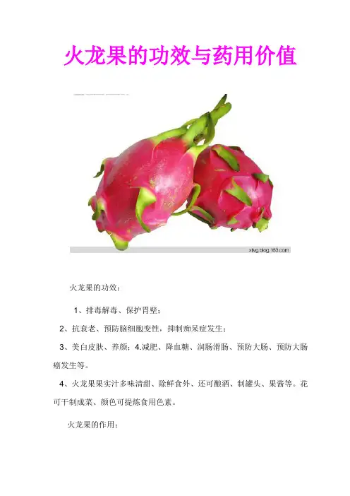 火龙果的功效与药用价值