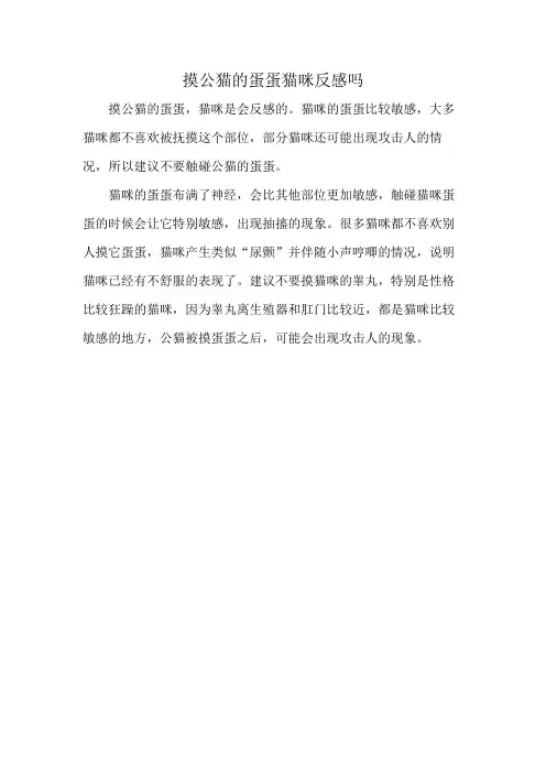 摸公猫的蛋蛋猫咪反感吗