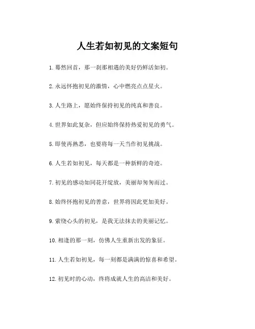 人生若如初见的文案短句