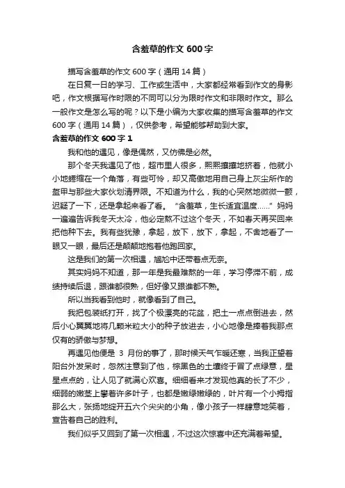 描写含羞草的作文600字（通用14篇）