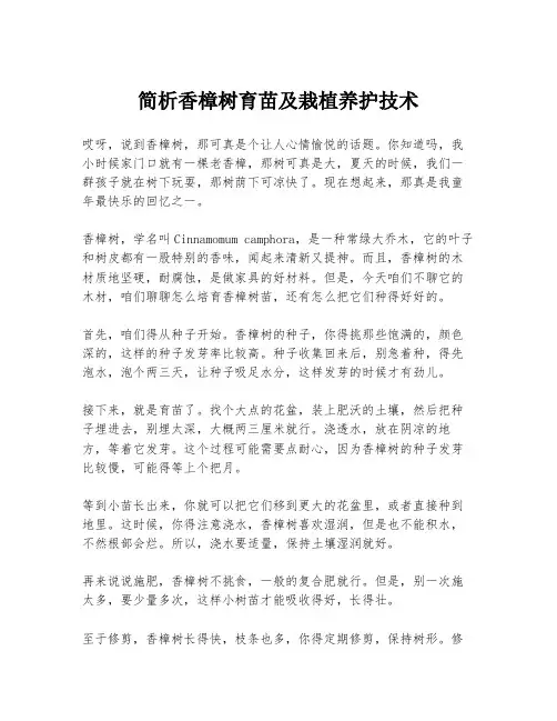 简析香樟树育苗及栽植养护技术