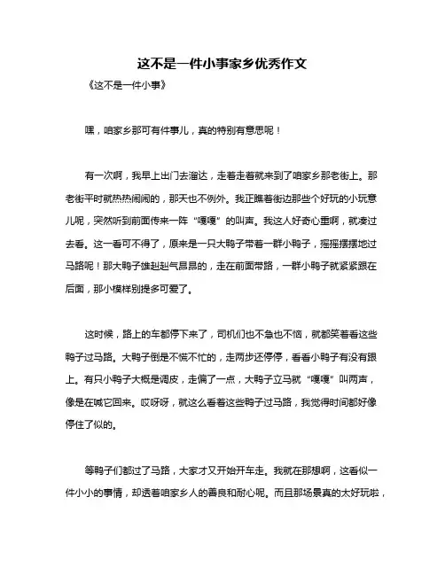 这不是一件小事家乡优秀作文