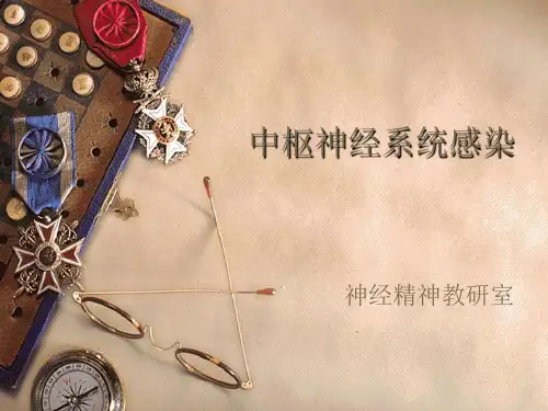 中枢神经系统感染的护理ppt