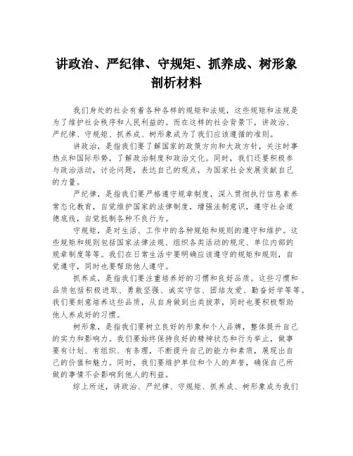 讲政治、严纪律、守规矩、抓养成、树形象剖析材料