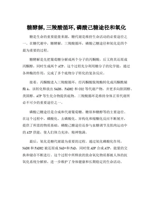 糖酵解,三羧酸循环,磷酸己糖途径和氧化