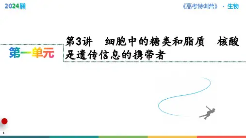 第3讲 细胞中的糖类和脂质 核酸是遗传信息的携带者