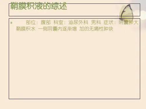 鞘膜积液的护理查房PPT推荐版
