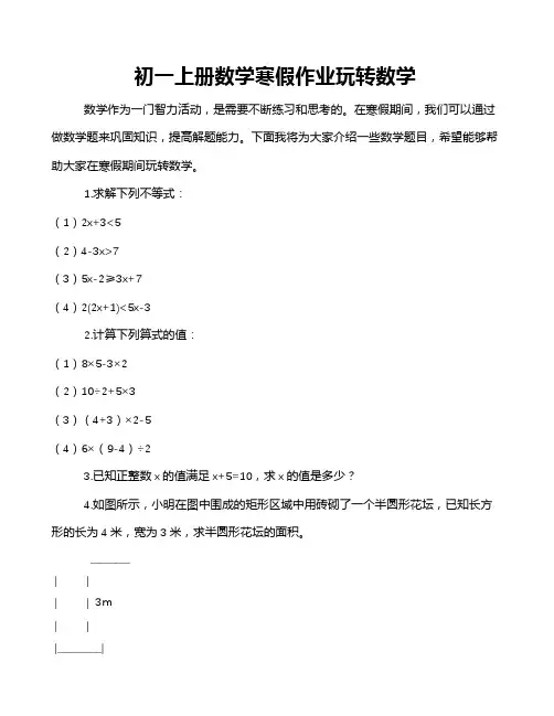 初一上册数学寒假作业玩转数学