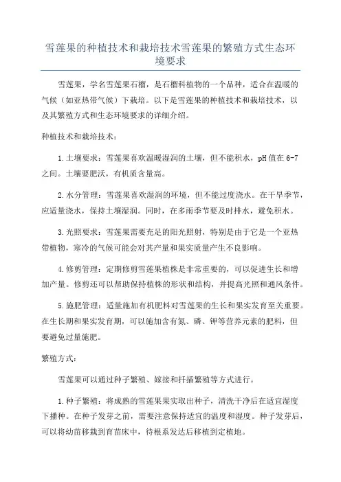 雪莲果的种植技术和栽培技术雪莲果的繁殖方式生态环境要求
