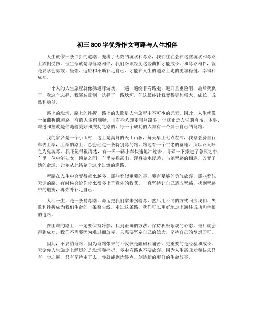 初三800字优秀作文弯路与人生相伴