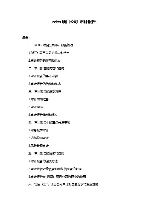 reits项目公司 审计报告