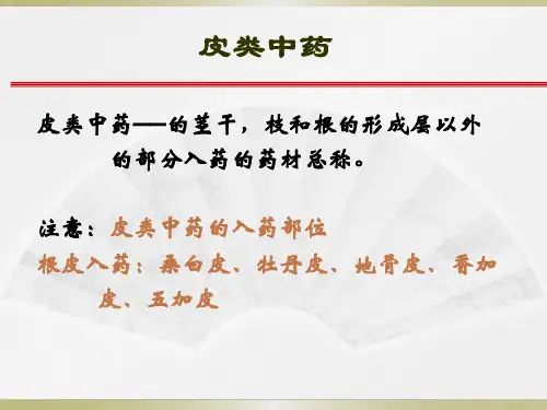 皮类中药鉴别特征