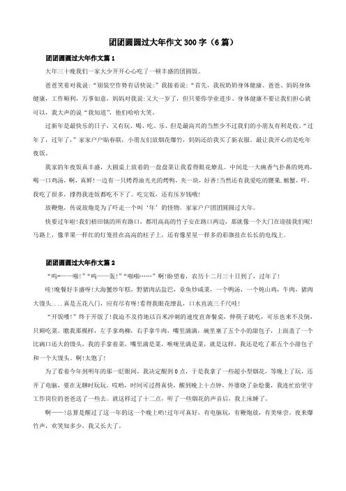 团团圆圆过大年作文300字