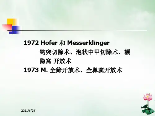 鼻内窥镜鼻窦手术ppt
