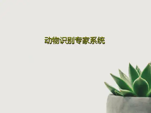 动物识别专家系统17页PPT