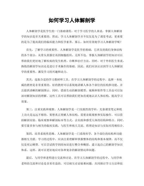 如何学习人体解剖学