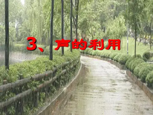 《声的利用》ppt课件