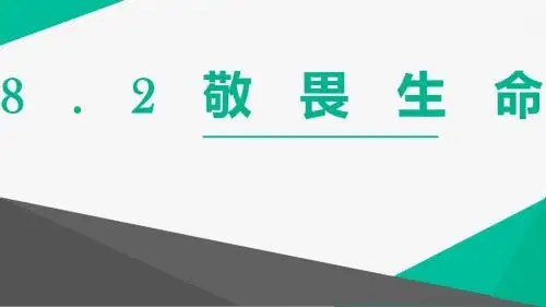 人教版《道德与法治》七年级上册：8.2 敬畏生命 课件 (共27张PPT)