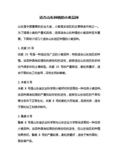 适合山东种植的小麦品种