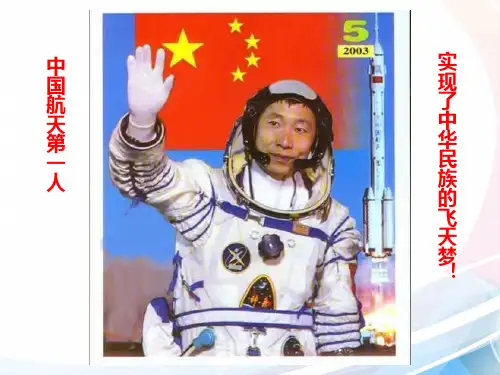 两极对峙格局的形成PPT课件24 岳麓版