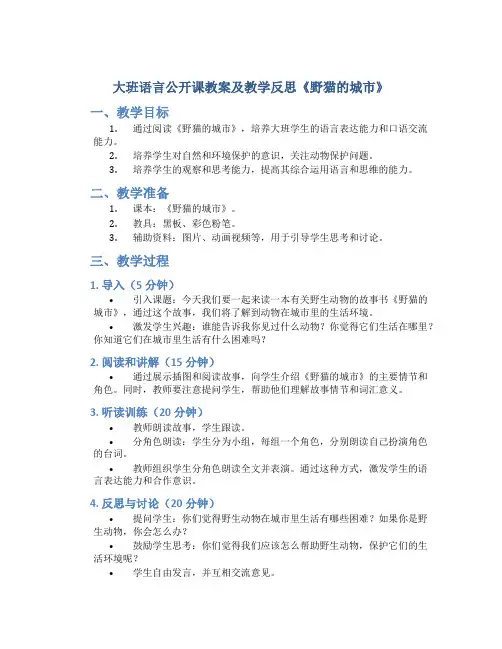 大班语言公开课教案及教学反思《野猫的城市》