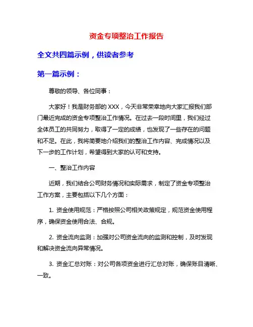 资金专项整治工作报告