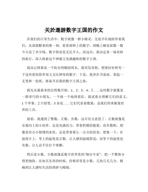 关於遨游数字王国的作文