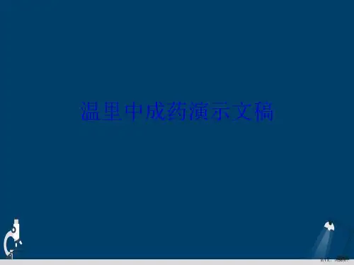 温里中成药演示文稿