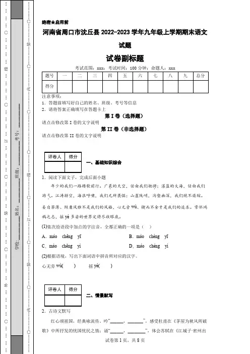 河南省周口市沈丘县2022-2023学年九年级上学期期末语文试题
