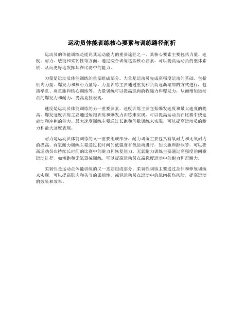 运动员体能训练核心要素与训练路径剖析