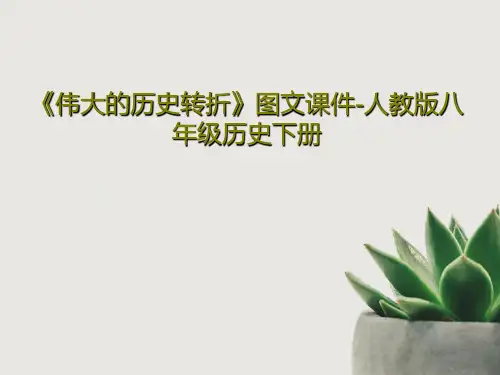 《伟大的历史转折》图文课件-人教版八年级历史下册PPT23页